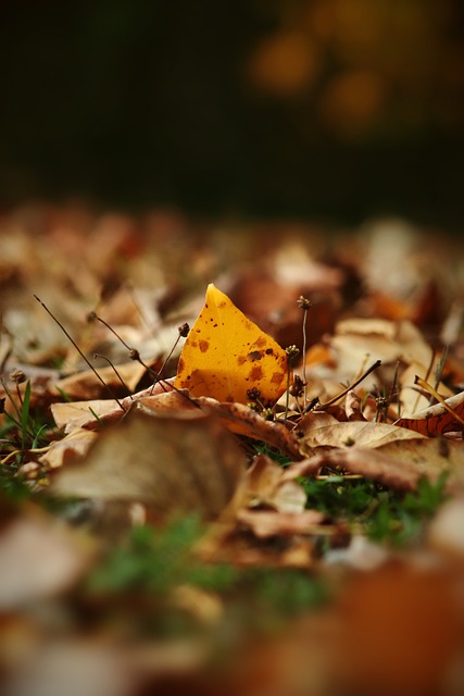 足球比赛中 足球比赛中