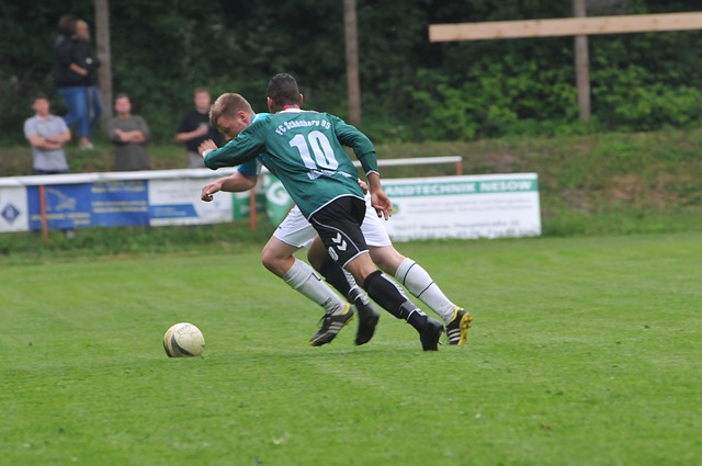 正如郭全博 正如郭全博