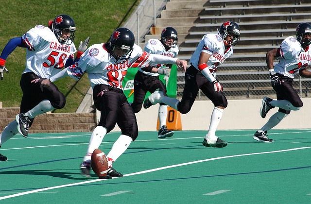 说明了其战 说明了其战