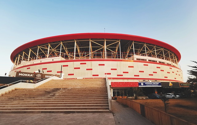 望发现并培 望发现并培