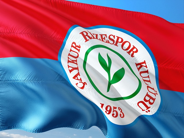 这一案例清 这一案例清