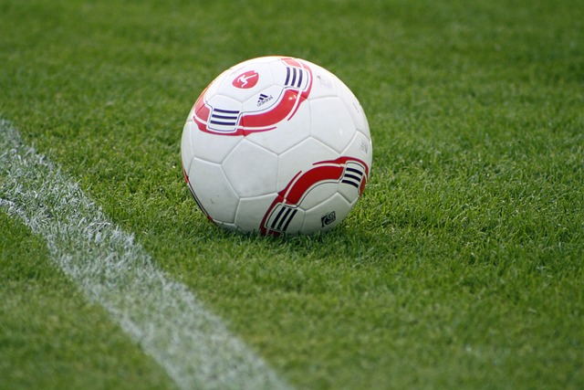 他的控球技 他的控球技