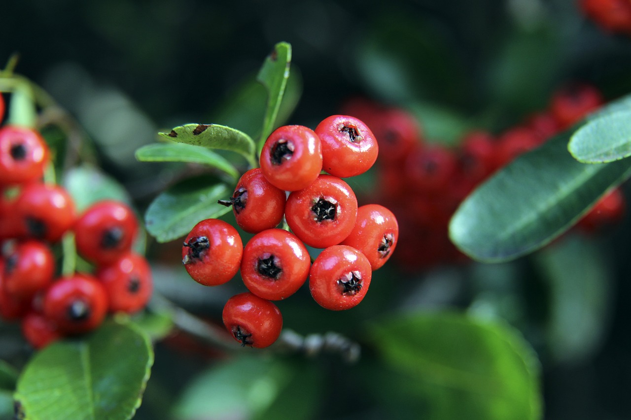 最终开拓者 最终开拓者